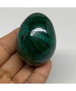 142.3g, 2&quot;x1.5&quot;, Natural Solid Malachite Egg Polished Gemstone @Congo, B... - £89.16 GBP