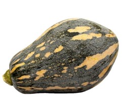 10 Seeds Taro Flavor Pumpkin Heirloom Seeds For Quick Gorgeous Outcomes - £6.58 GBP