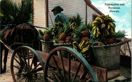 Postcard 1910s Honolulu HI Horse Drawn Cart Pineapples Bananas Hawaii Curio Q13 - £7.64 GBP