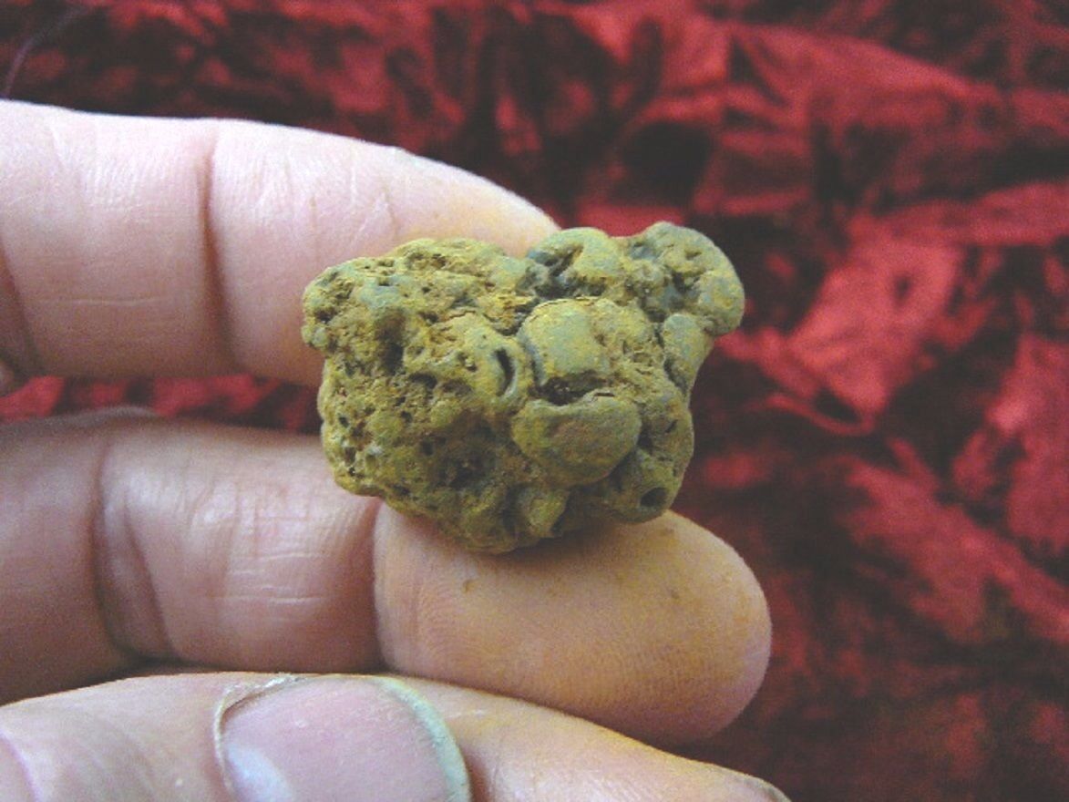 (PP450-62) 1&quot; Genuine Fossil TURTLE POOP Coprolite DUNG WEIRD WA state s... - $10.39