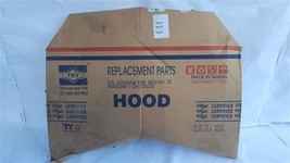 Hood TKY PN DG-20038AQ New Fits 00 01 02 03 04 05 Neon - $207.90