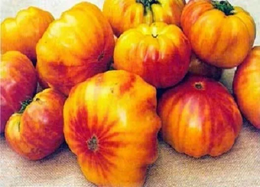 25 Virgina Sweet Tomato Seeds Heirloom Tomato Seeds - £11.78 GBP