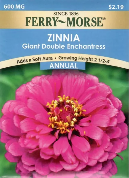 Zinnia Giant Double Enchantress Flower Seeds - Non-Gmo Ferry Morse 12/24 Fresh G - $8.00