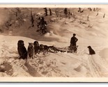 RPPC Dog Sled Team Climbing Snowy HIll UNP Postcard Y15 - $8.86