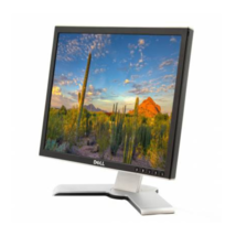Dell 1707FPt Fullscreen LCD 17&quot; Computer Monitor Display VGA DVI Port Silver - £32.55 GBP
