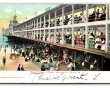 Steel Pier Atlantic City New Jersey NJ 1906 UDB Postcard D20 - £4.94 GBP