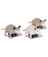 Racing Possums - $16.78