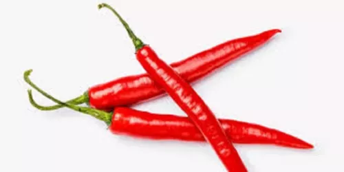 Long Red Thin Cayenne Hot Pepper Seeds 40000 Scoville Units Gardening Fresh USA  - $5.98