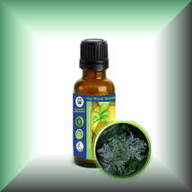 Wormwood Essential Oil (Artmesia Absinthium) - $6.00+