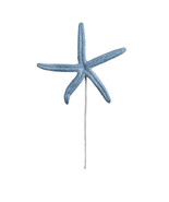 Starfish Pick Blue 5 X 9.5 Inches - £12.55 GBP