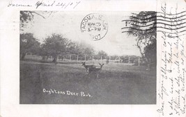 Tacoma Washington Pstmk~Oughtons Deer Park Postcard 1907 - £4.84 GBP