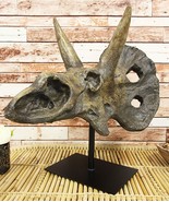 Ebros Prehistoric &#39;3 Horns&#39; Triceratops Dinosaur Fossil Skeleton Statue ... - $7,382.45 MXN