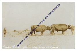 rp11856 - Sussex Black Oxen ploughing at Lewes - print 6x4 - $4.08 CAD