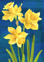 1012545 Daffodils on Blue Spring Flag 28X40 Inch Double Sided Spring Gar... - £17.25 GBP