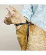 Black Nylon Adjustable Cat Harness 40&quot; Secure Pet Restraint Easy Snap Cl... - $11.77