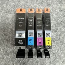 Authentic Canon PGI-250 Black &amp; CLI-251 Standard C/M/Y Color Ink 4 Pack - $27.99