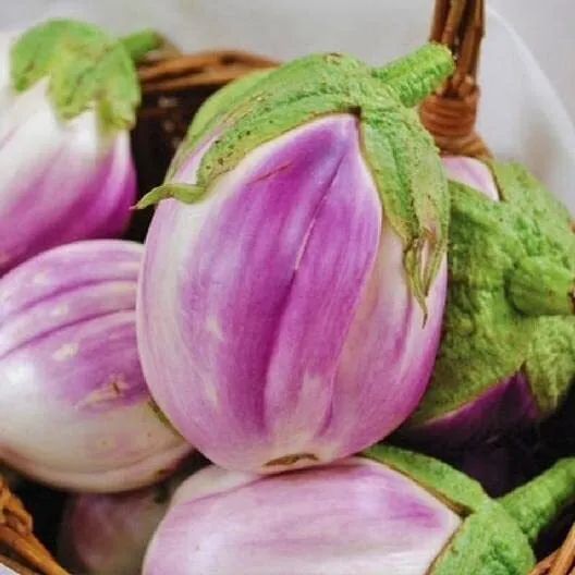 Rosa Bianca Eggplant Seeds, 50+ Heirloom Seeds Per Packet , Non Gmo Seeds, Bota  - £15.86 GBP