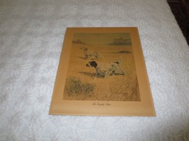 Mid 20th Century Edwin Megargee Signed The English Setter Lithograph - 13&quot; X 16&quot; - £30.60 GBP