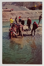 Finger Lake Rainbow Trout Tag Day Naple Creek NY Plastichrome Postcard c1960s - £6.42 GBP