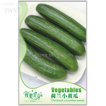 Sweet And Succulent Dutch Cucumber Seeds Pack 6 Seeds Fragrant And Delicious Org - £9.37 GBP