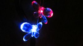 string 10 BUTTERFLY LIGHTS changing colors 3AA batteries  (NRM-A -blu bag) - £6.60 GBP