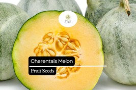 25 Seeds Charentais Melon (Cucumis melo) – French Heirloom Melon with Sw... - $7.89 CAD