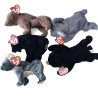 Ty Beanie Baby Set Of 5 Bears, Koala, Black Bear, Brown Bear - $15.80