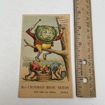 Crosman Bros Seeds Cabbage Rochester NY Trade Card Vintage Original - £18.63 GBP