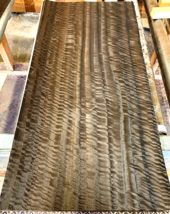 6 Pieces Wide Fumed Fiddleback Eucalyptus Consecutive Raw Veneer 24&quot; x 11 3/4&quot; - £31.61 GBP