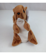 Vintage 1996 Ty Beanie Babies Nuts 6&quot; Bean Bag Plush With Tags - $182.00 MXN