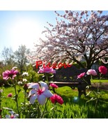 Digital Image Ai Picture Photo Wallpaper Background Desktop Art Flowers ... - $18.34 MXN
