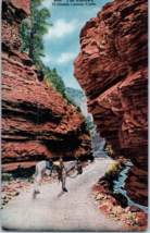 The Narrows Williams Canyon Colorado Postcard - £11.85 GBP