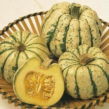 10 Sweet Dumpling Squash Seeds Delicious Fast US Shipping - £12.30 GBP