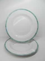 Wolfgang Puck Bistro Spago Set Of 2 Green 11&quot; Dinner Plates VGC - £22.80 GBP