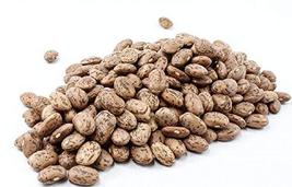 Shell Pinto Bean Seeds - 500 Count Seed Pack - Tasty and Easy to Grow, These Mak - £7.23 GBP