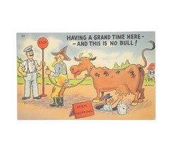 Vintage No Bull Comic Postcard Unposted Having a Grand Time - £7.78 GBP