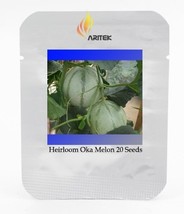 Rare Canadian Heirloom Oka Melon Bizard Island Strain Cucumis Melo Seeds, Profes - £2.55 GBP