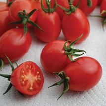 50+ Seeds Umberto Tomato Tomatoe Vegetable Garden Edible Canning From US - £6.91 GBP