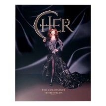 Cher If I Can Turn Back Time 22x28 Poster - COA Owned By Caesars 5/6/2008 - £252.50 GBP