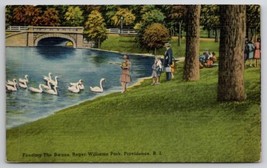 Providence RI Feeding The Swans Roger Williams Park Postcard N21 - £3.96 GBP