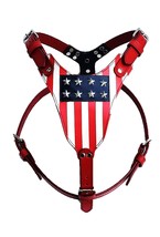 STG USA Hundegeschirr aus echtem Leder für mittelgroße Hunde | Groß| Extra... - £94.59 GBP