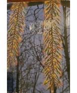 TWO  MULTI COLOR CLUSTER SWAGS CHRISTMAS LIGHTS IN WORKING CONDITION   -... - €20,16 EUR