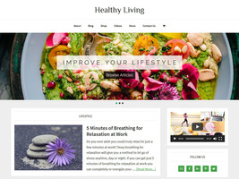 * HEALTHY LIVING * store blog affiliate website business for sale AUTO C... - £71.17 GBP