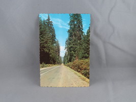 Vintage Postcard - Western Washington Highway - Dexter Press - £11.99 GBP