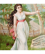 C1880s Hall&#39;s Hair Renewer Lovely Victorian Trade Card Lithograph Beauty... - $502.62 MXN