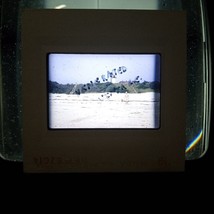 Man And His Dog On The Beach &amp; Lighthouse Vtg 35mm Found Kodachrome Slide Photo - £7.97 GBP