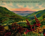 View From Santa Cruz Inn Haines Falls New York NY UNP  Unused Linen Post... - $10.84