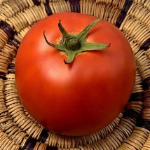BEST 50 Seeds Easy To Grow Baby Cakes Tomato Hybrid Vegetable Tomatoes - $10.00