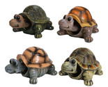 Ebros Nautical Colorful Shell Sea Turtles Tortoises Bobblehead Figurines... - $20.99