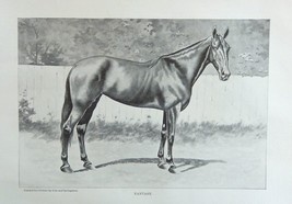 Cole and Springstein,1896 rare antique painting (Fantasy -- Race Horse) oringial - £14.07 GBP